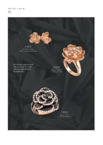 Catalogue Raynal France 2016 page 8