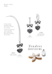 Catalogue Raynal France 2016 page 46