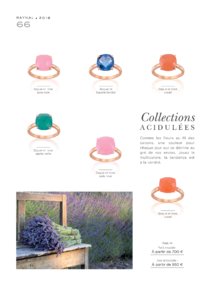 Catalogue Raynal France 2016 page 68
