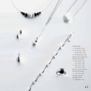 Catalogue Victoria Benelux 2013 page 43